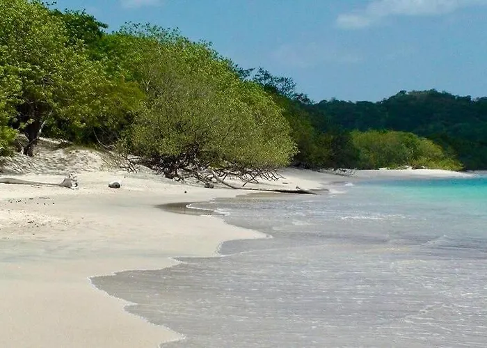 Welcome To Paradise!reserva Conchal, Solaris, C-1a Playa Conchal